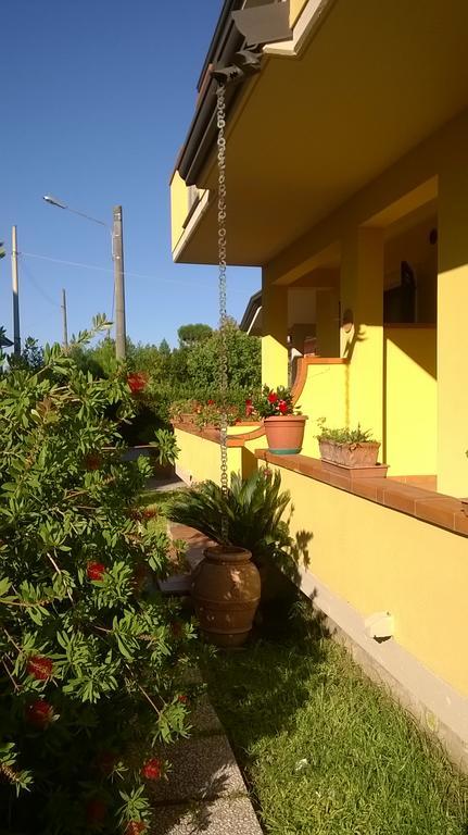 Bed and Breakfast Nonna Alda Viareggio Exterior foto