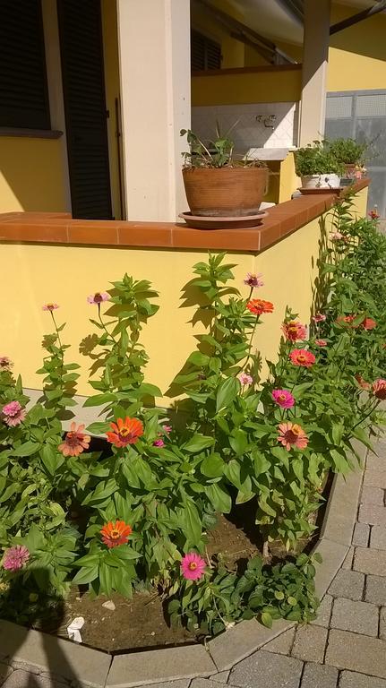 Bed and Breakfast Nonna Alda Viareggio Exterior foto