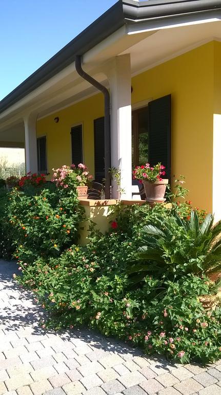 Bed and Breakfast Nonna Alda Viareggio Exterior foto